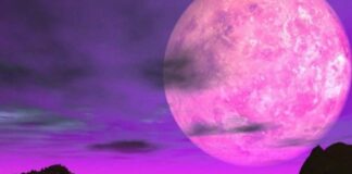 Цветочная Луна-2020: необычное майское полнолуние несет опасность для людей - today.ua