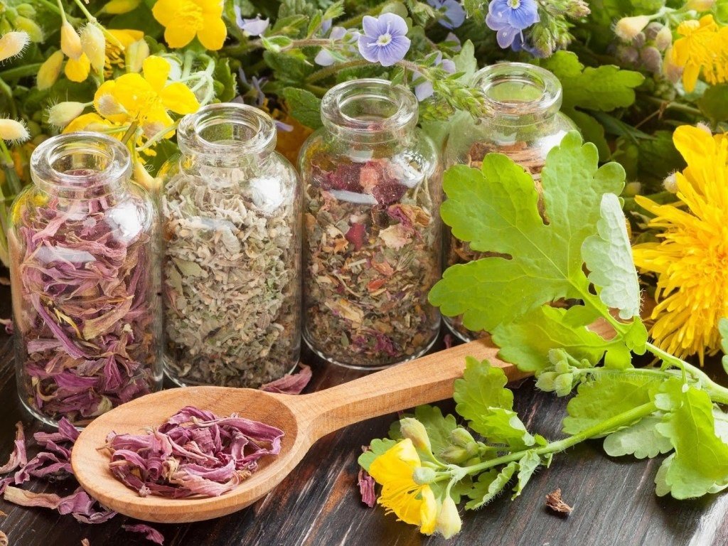 Названы лекарственные травы, которые следует добавлять в чай, чтобы укрепить иммунитет