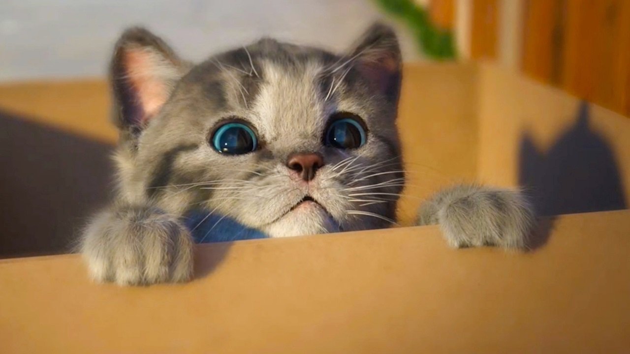 Девушка думала, что спасла брошенного котенка, а на самом деле она подобрала дикого зверя - today.ua