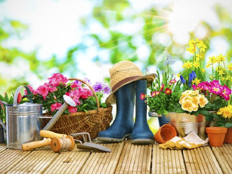 Місячний посівний календар на квітень 2020: коли і що садити заради хороших урожаїв - today.ua