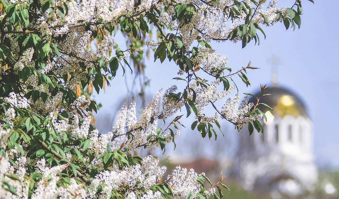 Свята 2 квітня: в день Фотинії Самарянки молилися про дарування здоров'я - today.ua