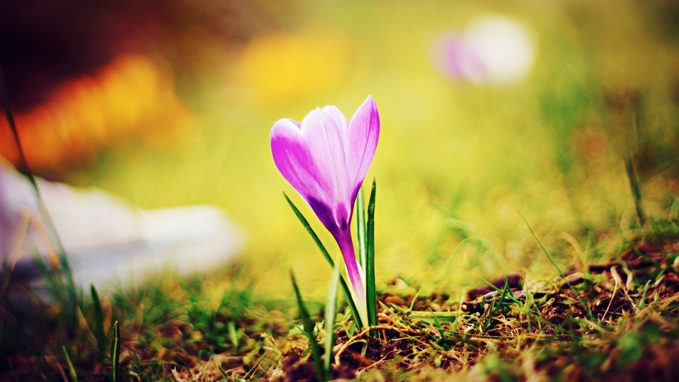 Засуха, заморозки и дожди: как скажется погода весной 2020 на урожайность в Украине - today.ua