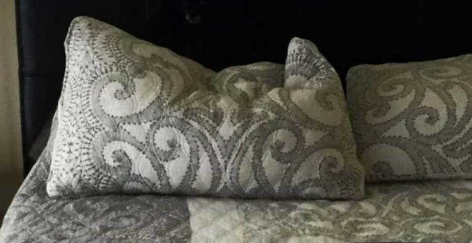 Тест на внимательность: на фото спряталась собака, которую никто не может найти