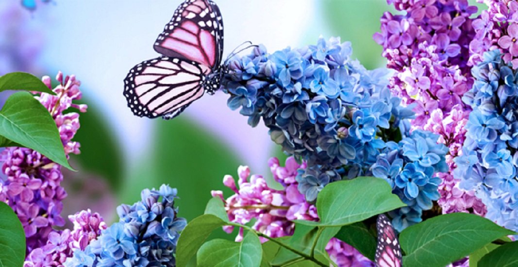 Прогноз погоды на майские праздники: синоптики обещают дожди - today.ua