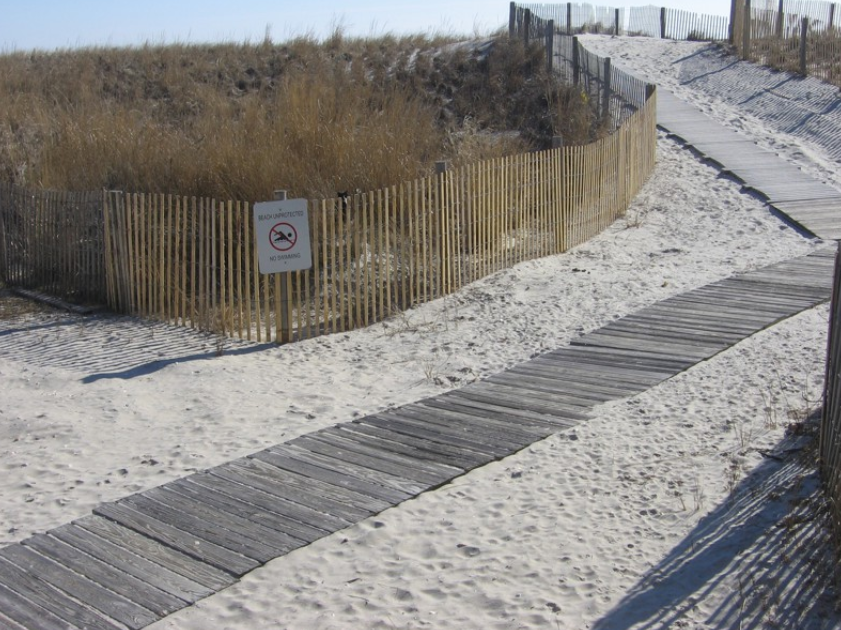 Тест на уважність: на фото замаскувалася кішка, але знайти її зможуть не всі - today.ua