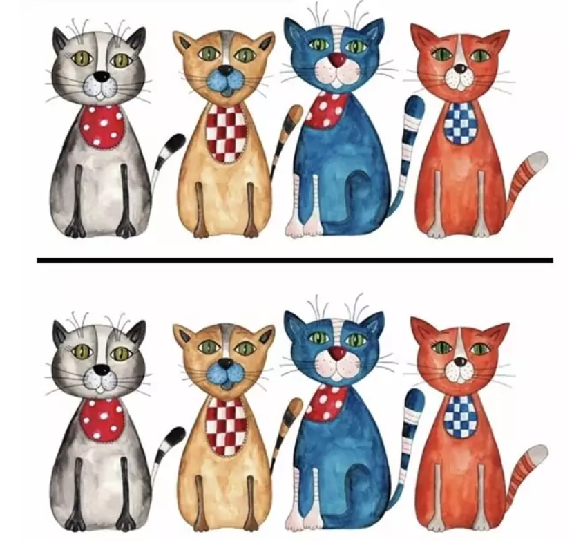 Тест на внимательность: найдите на картинке 3 отличия между котами