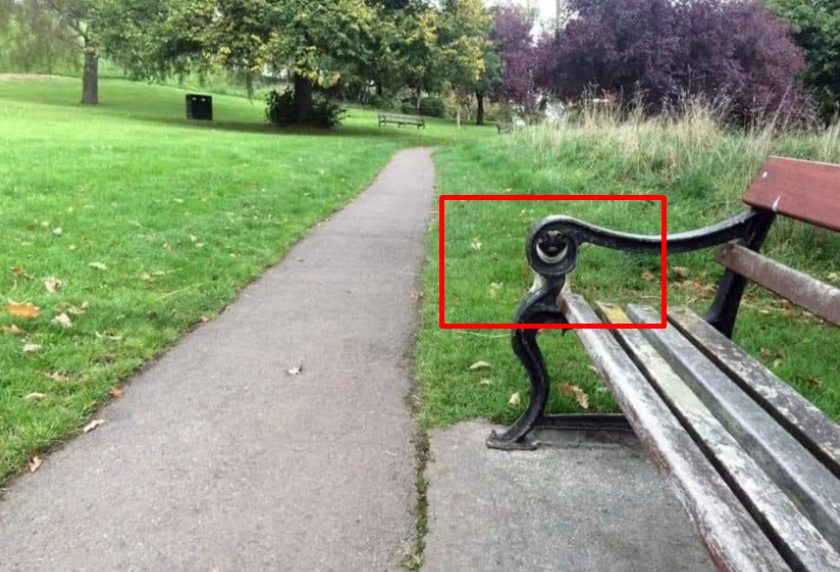 Тест на внимательность: найдите в парке собаку за 15 секунд