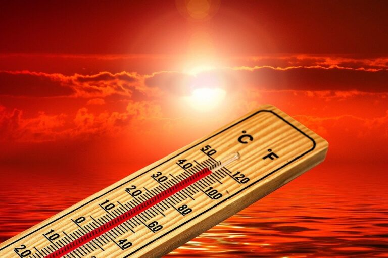 Коронавирус и летняя жара: что говорят медики о влиянии высоких температур на COVID-19 - today.ua