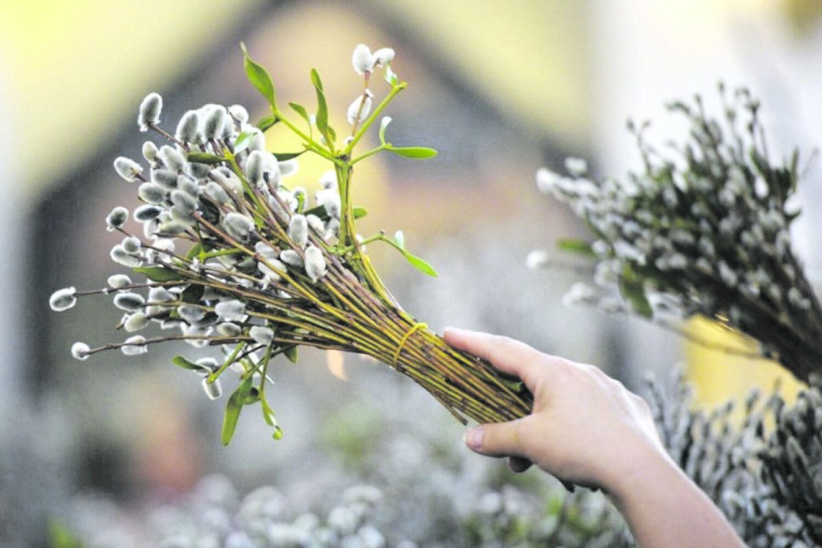Великий вторник 14 апреля: что нужно успеть сделать во второй день Страстной недели