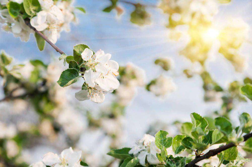 В Украину идёт резкое потепление: синоптики назвали дату