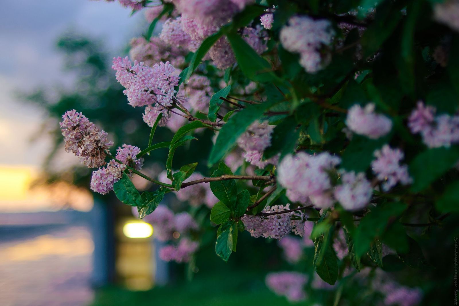 Аномальное похолодание и сильная засуха: украинцев поразили новым прогнозом на май - today.ua