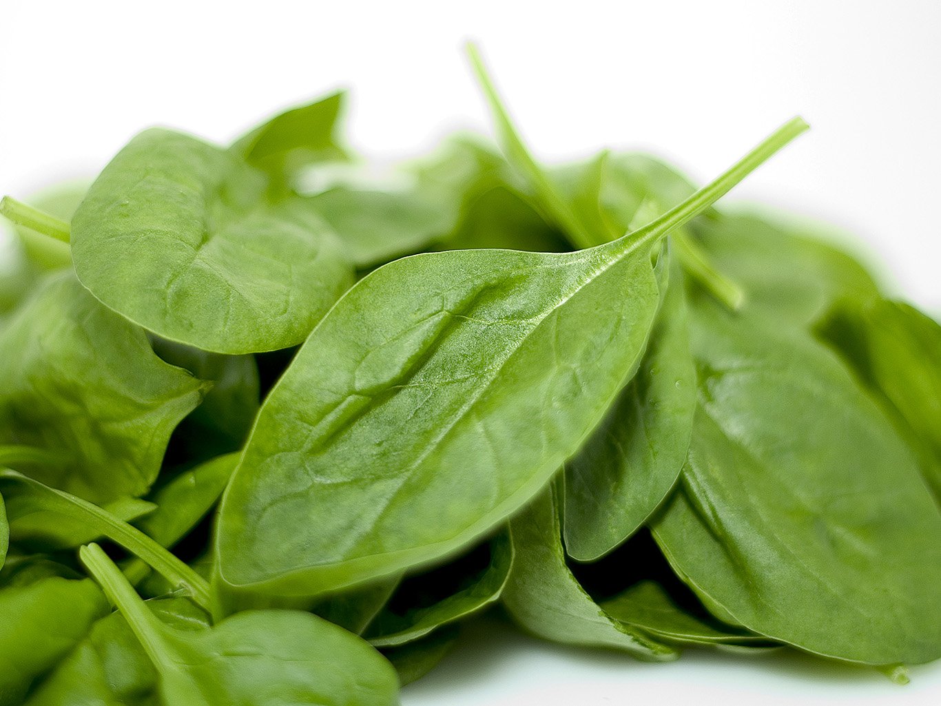 Зелень може бути небезпечною: кому краще не вживати шпинат - today.ua