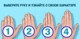 Тест на характер: форма руки раскроет все тайны души человека, надо лишь присмотреться - today.ua