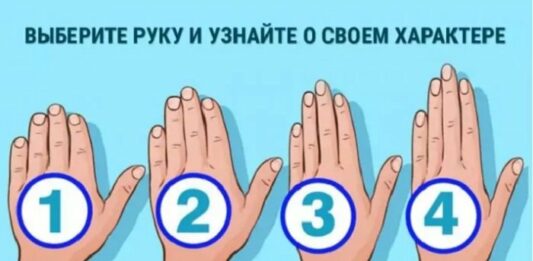 Тест на характер: форма руки розкриє всі таємниці душі людини, треба лиш придивитися - today.ua