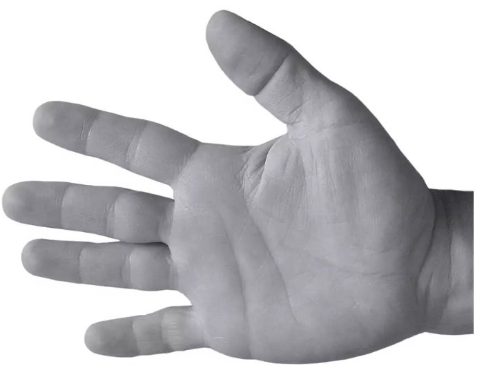 Тест на характер: форма руки раскроет все тайны души человека, надо лишь присмотреться