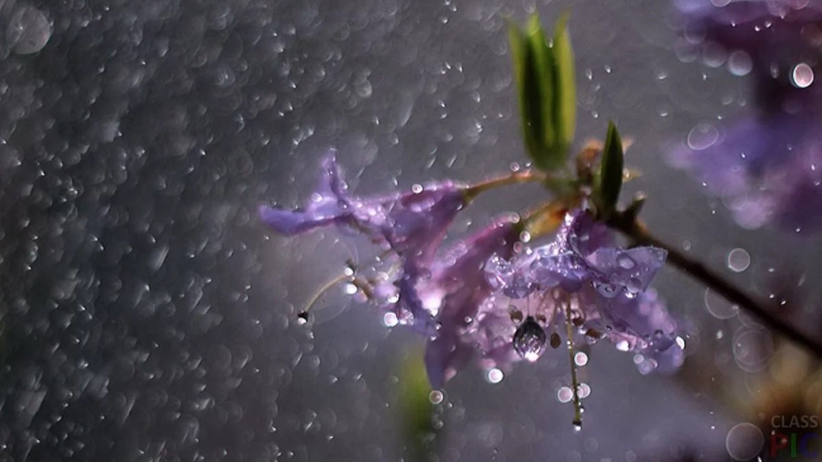 Погода в Украине снова изменится: синоптики обнародовали новый прогноз - today.ua