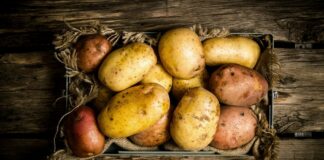 В Україні подешевшає картопля: стало відомо, що буде з цінами на овоч у найближчий час  - today.ua