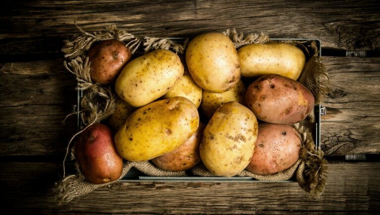 В Украине подешевел картофель: стало известно, что будет с ценами на овощ в ближайшее время  - today.ua