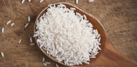 Ученые рассказали, в чем опасность риса для здоровья - today.ua
