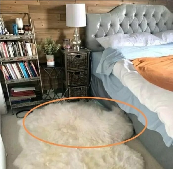 Тест на внимательность: в комнате спряталась собака, найдите ее за 10 секунд