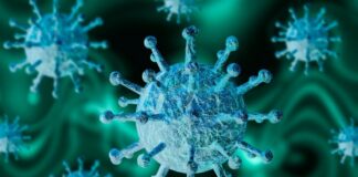 Ученые назвали главных распространителей коронавируса: самые заразные люди - today.ua