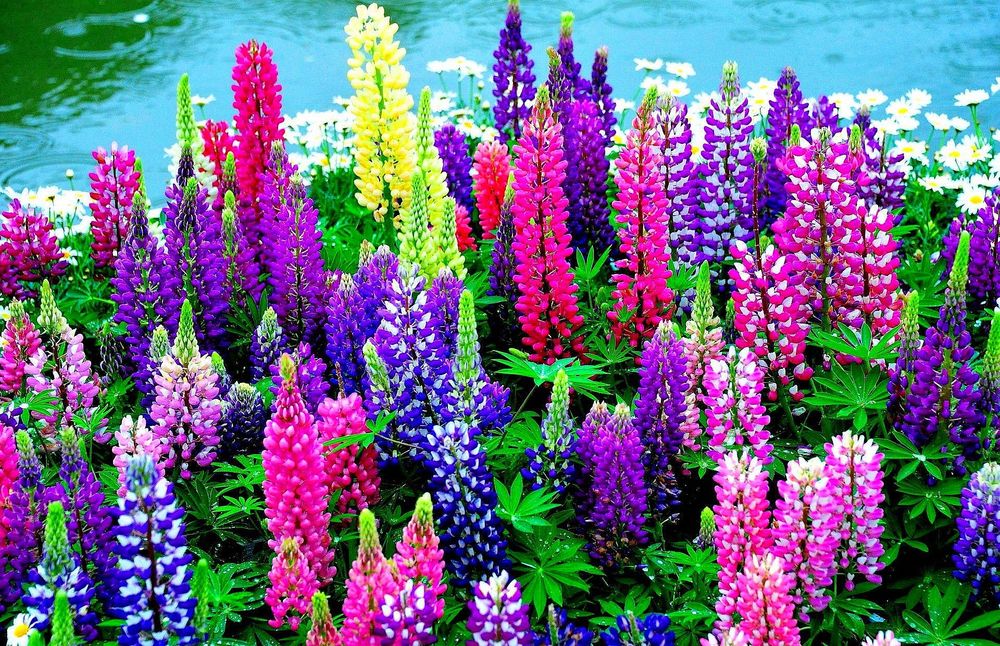 Ваш любимый цвет расскажет многое о характере: любопытный тест