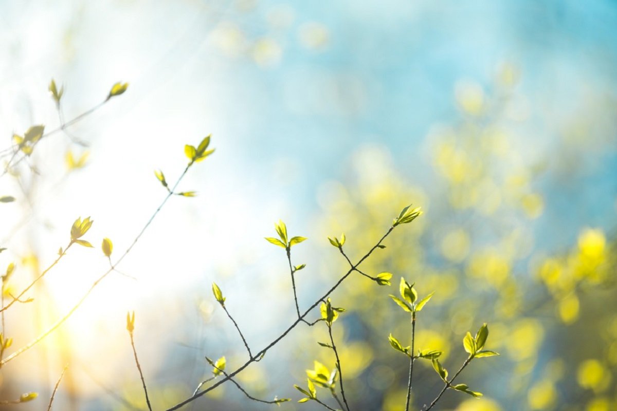 Прогноз погоди на вихідні: синоптики прогнозують різкі зміни - today.ua