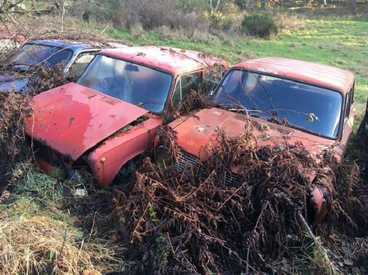 В Англии нашли кладбище автомобилей Lada - today.ua