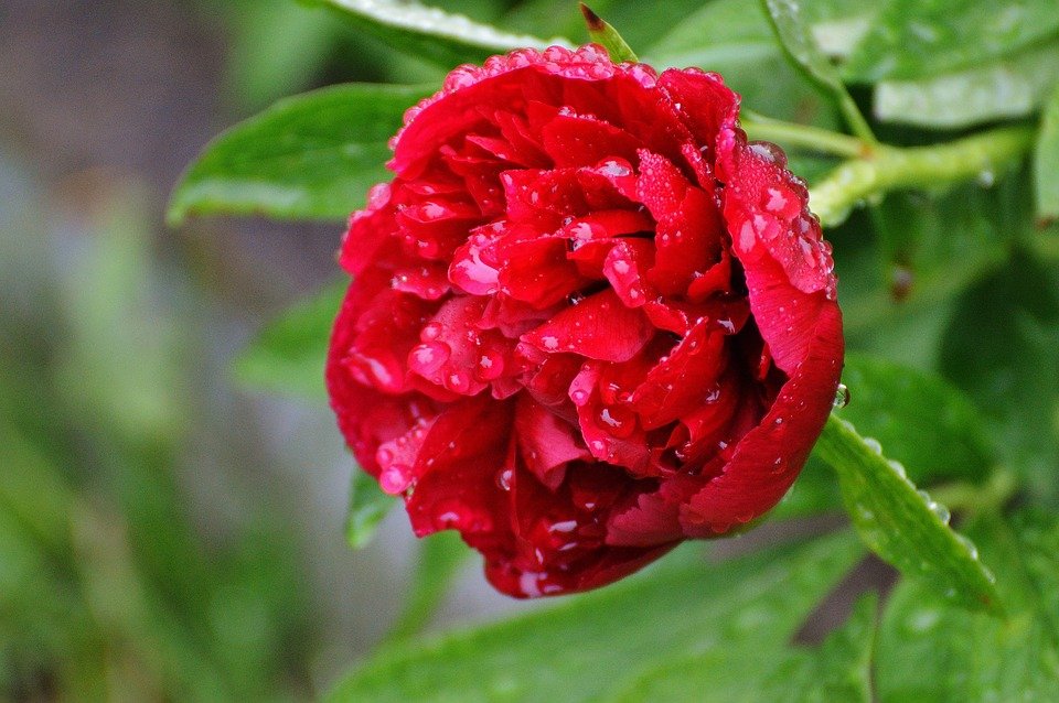 Майские дожди не отступят: синоптики рассказали, какой будет погода до конца недели