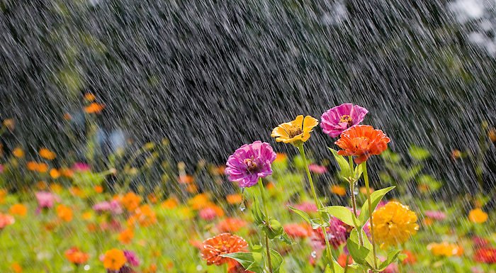 Синоптики удивили прогнозом погоды на июнь: "Будет, как в мае..."