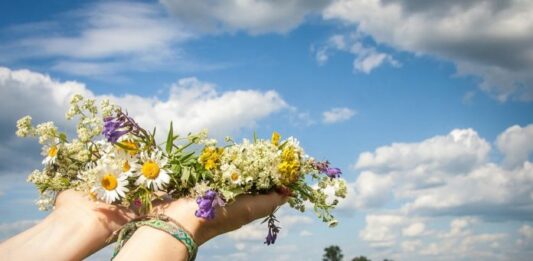 Червень в Україні буде аномальним: синоптики здивували новим прогнозом  - today.ua