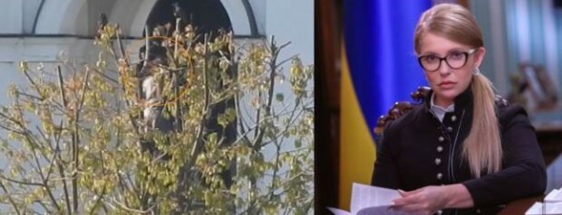 Прогуляла заседание ради отдыха: Тимошенко поймали в дорогом спа-отеле - today.ua