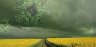 Стало известно, что убивает коронавирус на всех поверхностях за 15 минут  - today.ua
