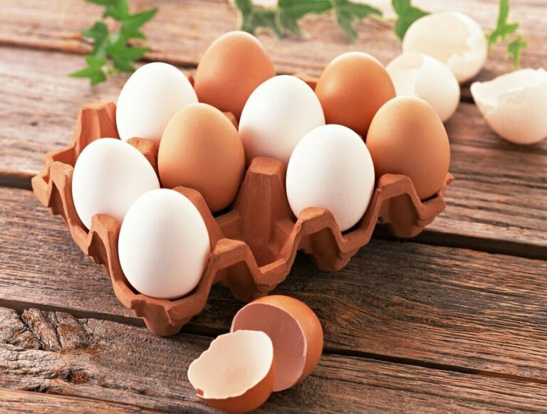 Медики назвали безпечну кількість яєць для здоров'я на добу - today.ua