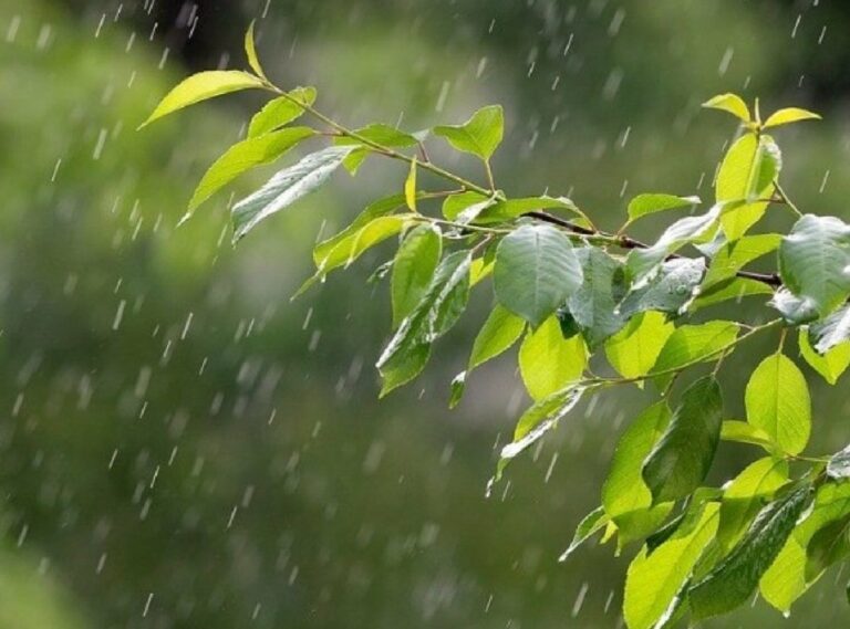 Як довго в Україні триватиме дощова погода: прогнози синоптиків до кінця тижня - today.ua