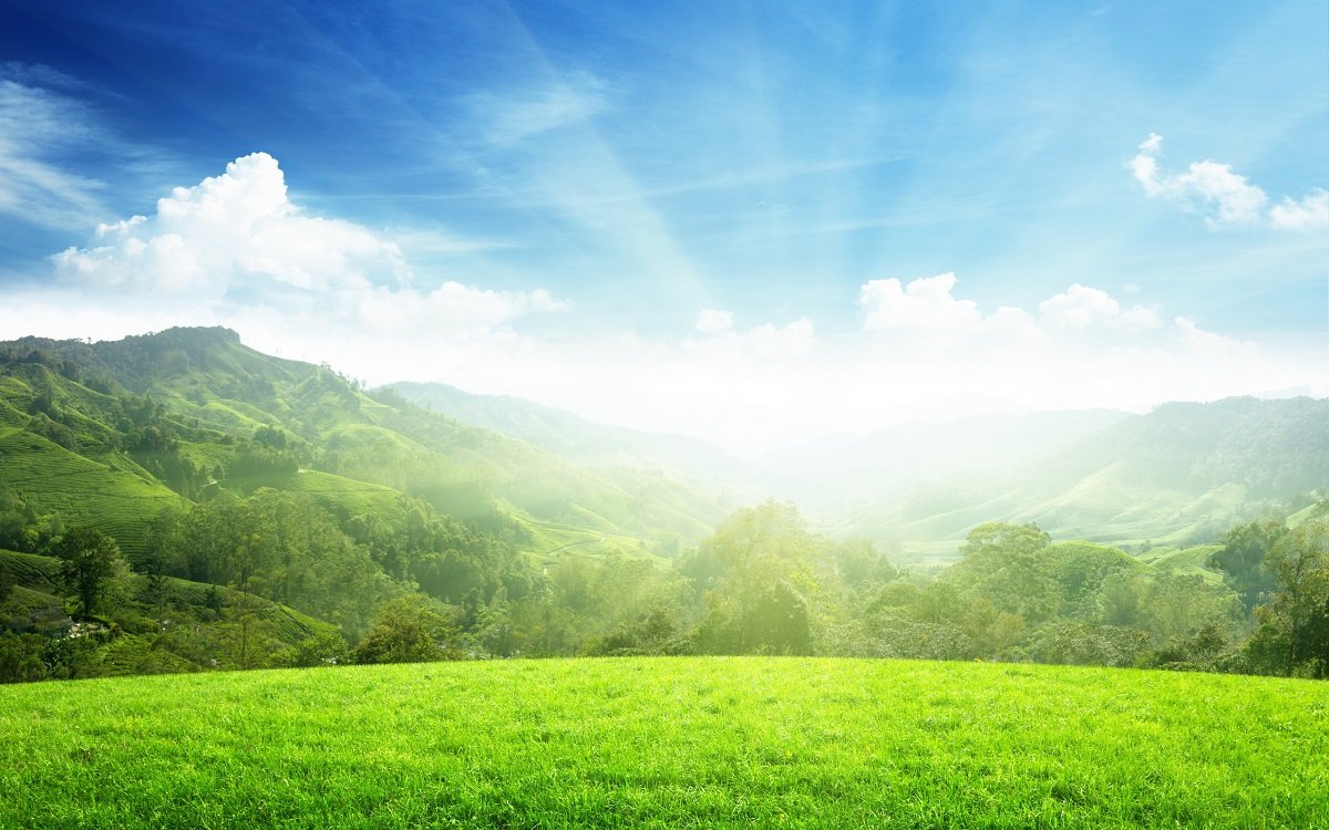 На Україну насувається антициклон Utz: обнадійливий прогноз погоди від Наталки Діденко - today.ua