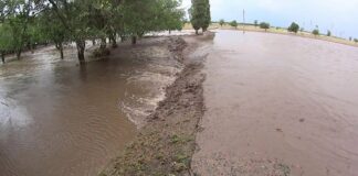 Одеська область під загрозою затоплення: велика вода із Західної України накриє Бесарабію - today.ua