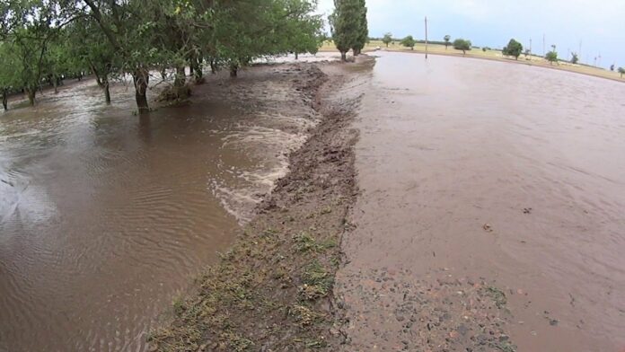 Одеська область під загрозою затоплення: велика вода із Західної України накриє Бесарабію - today.ua