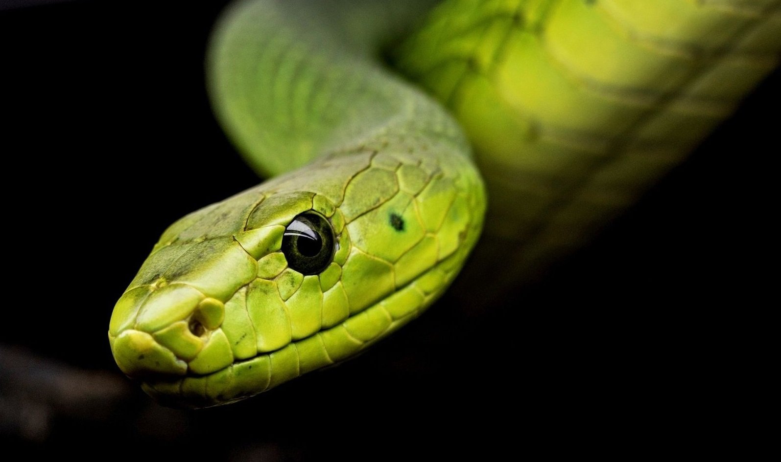 Свято 12 червня: в Ісакієв день злі люди хворіють та страждають