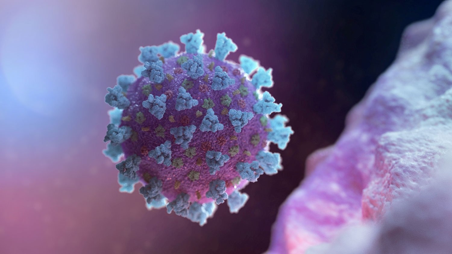 Як насправді коронавірус потрапляє в організм – результати останніх досліджень