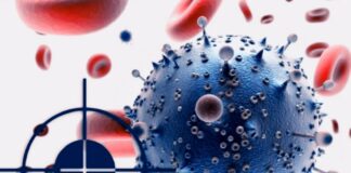 Коронавирус и рак: ученые нашли связь между двумя болезнями  - today.ua