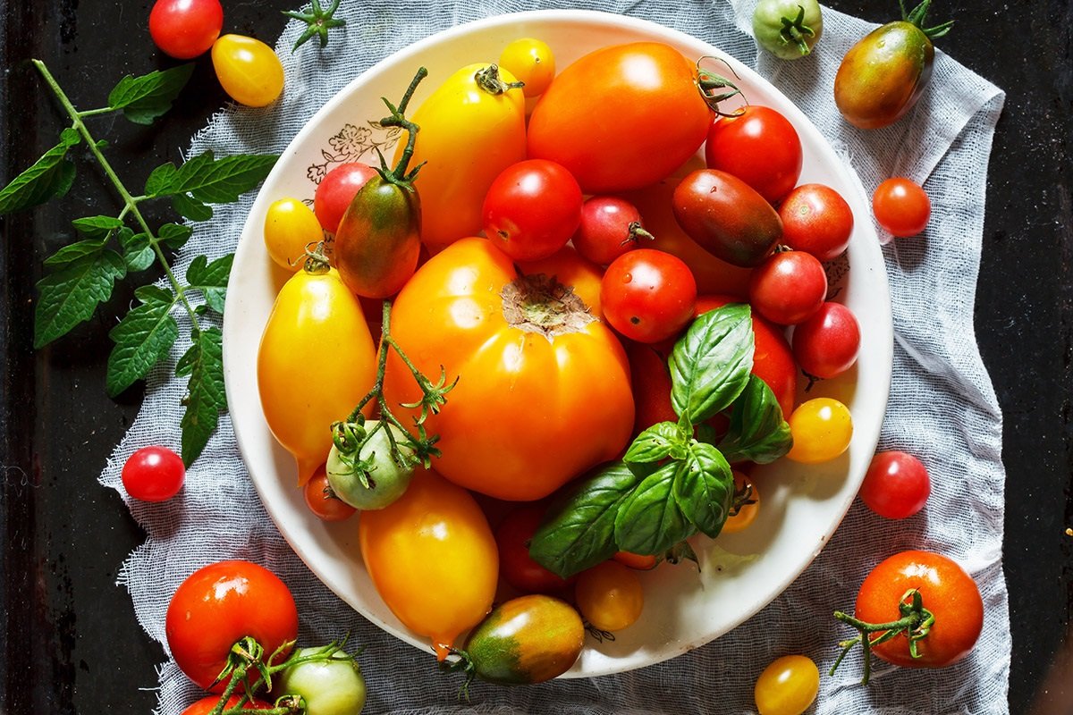 В Украине рухнули цены на помидоры: что привело к удешевлению овощей