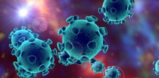 Статистика по коронавірусу в Україні: нових випадків зараження більше, ніж очікувалося - today.ua