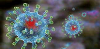 Як насправді коронавірус потрапляє в організм – результати останніх досліджень - today.ua