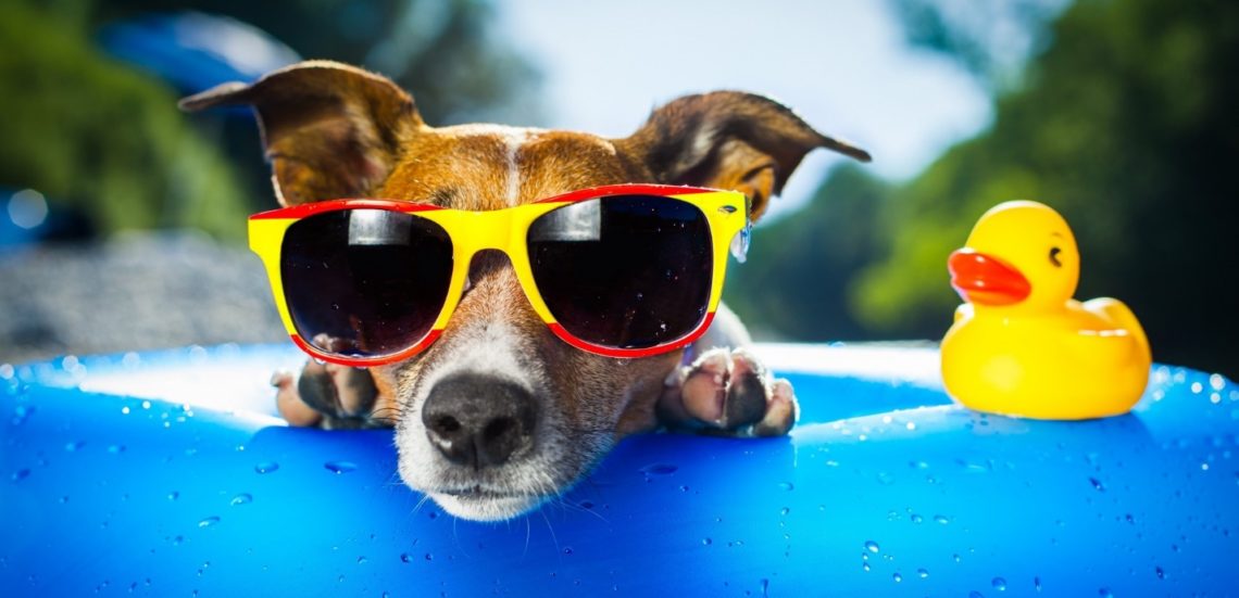 В Украину пришло настоящее лето: синоптики обрадовали рекордным потеплением