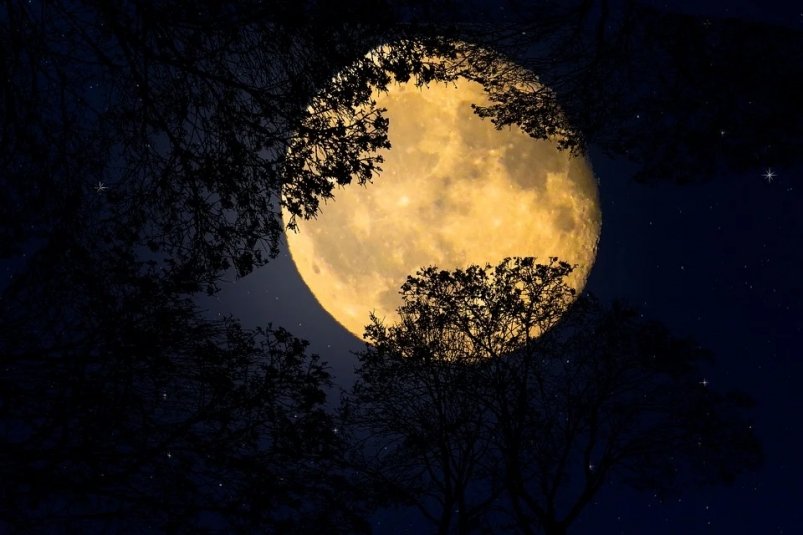 Повний Місяць 5 червня: чого очікувати знакам Зодіаку від магічної доби - гороскоп