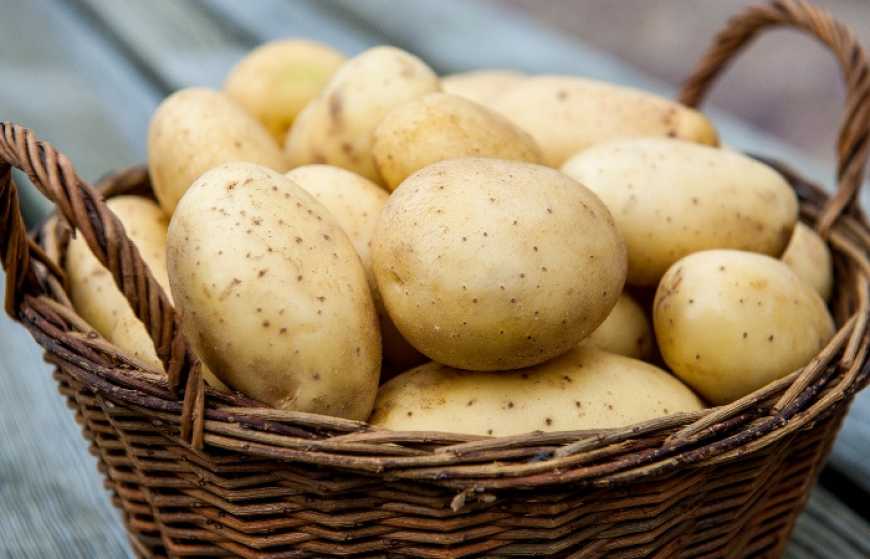 В Україні можуть стрімко злетіти ціни на картоплю: з'явилась несподівана причина