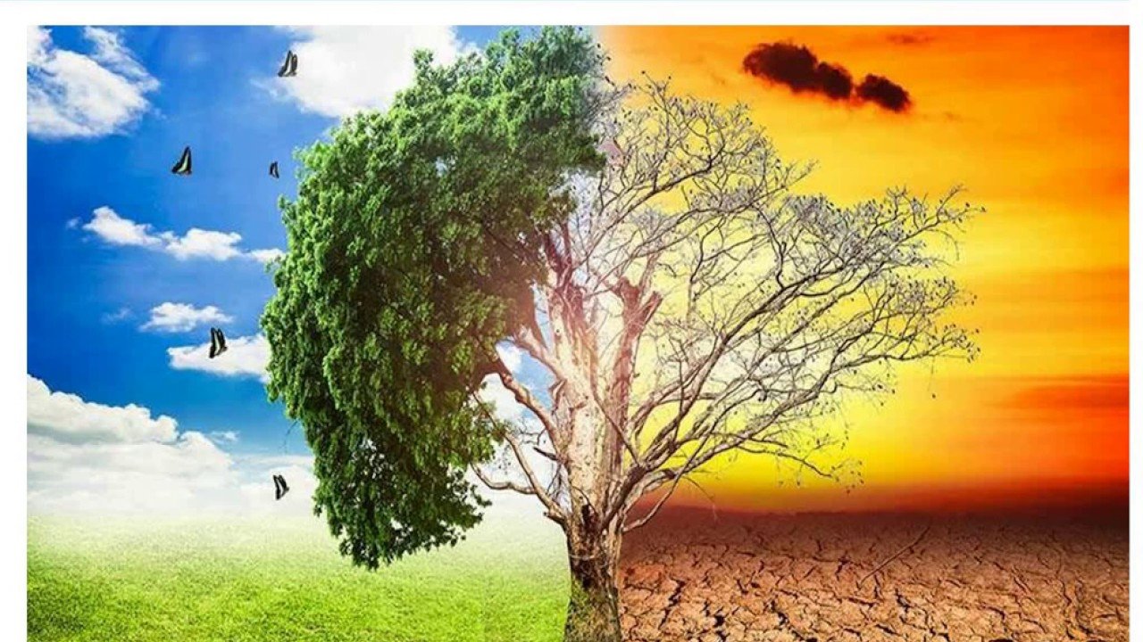 Учені попередили українців про екологічну катастрофу: помруть мільйони людей