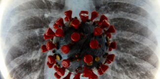 Як коронавірус вражає легені: медики дали поради по відновленню  - today.ua