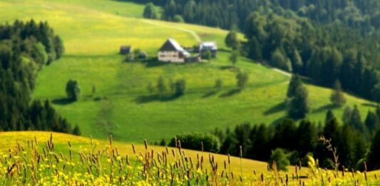 Літо в Україні буде примхливим: синоптики розповіли, яких погодних аномалій очікувати в найближчі три місяці  - today.ua